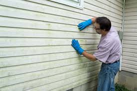 Best Siding Repair  in Salem, UT